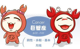 2026年双鱼座属虎人每月财富运势具体表现是什么？