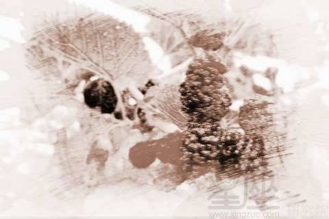 啊！春天做梦摘果子居然能看出这么多门道？