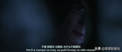 一、 情感的：爱的表达与行为的背离