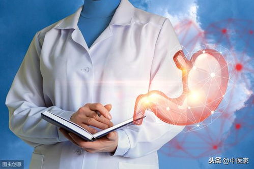 综合防护策略：从生活方式到环境治理