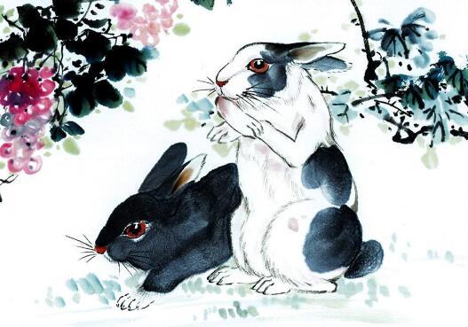 中年晚景属什么生肖？十二生肖表彩图正版是什么意思？