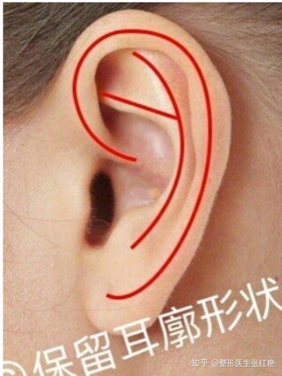 一、 耳朵尺寸较小的面相解读及其多维关联