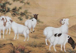 倾尽一生打一生肖指的是什么生肖？