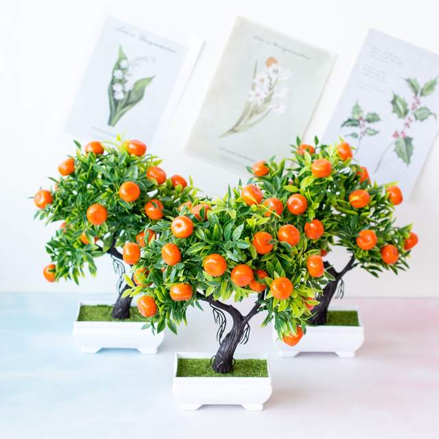 不同星座在种植金桔时会有不同的吉日