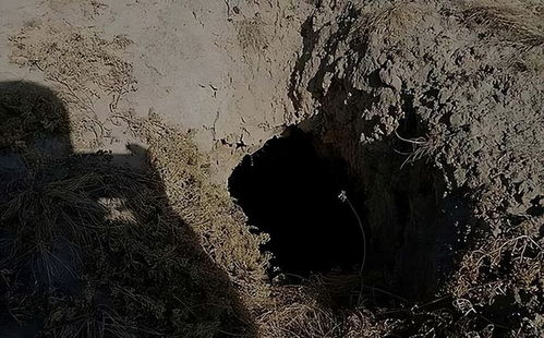 四、 分析讨论：汽车为何成为囚禁幽魂的机制