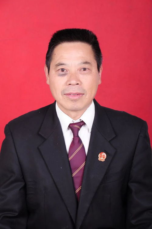 徐振华之身份及商业活动实践解析
