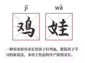 2.1 “杭”——兼具地名情怀与木属性之双沉重象征