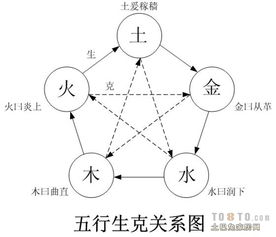 案例分析：男性木命人士办公室绿植布局
