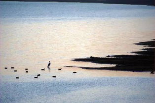 老海八字和简介中透露的哪些特点，能揭示他的人生轨迹和性格特点？