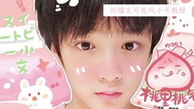 现象叙述：从感知到实证的转化过程