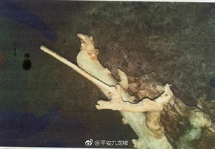 牛角弯弯的诡异哭声