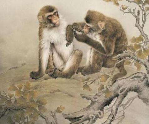 2026年生肖猴是否会有牢狱之灾，那一年运势如何？