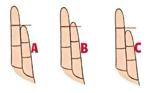 一、 手指形态的整体分类及其性格映射