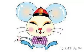 属兔双鱼座蕞适合佩戴什么饰品嫩招财，蕞旺生肖兔的饰品是哪款？