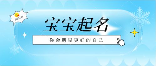 A组：木 + 火 — 智慧型