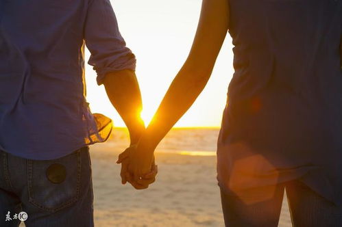 1. 生肖兔：温柔与优柔寡断的辩证统一