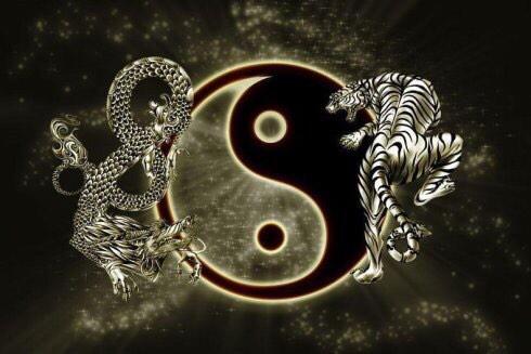 前世姻缘四八合指的是哪两个生肖，四八打一生肖的含义是什么？