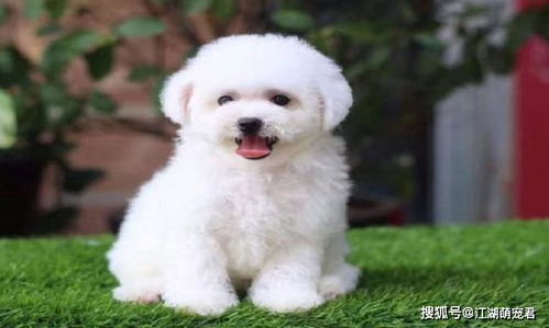 简单读性与简单记性：打造朗朗上口的店名