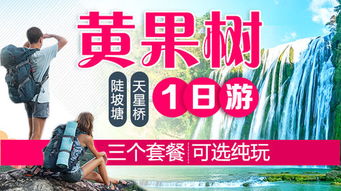 门票市场价格真实相：官方 vs. 实际支出