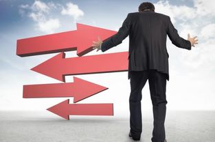 2026年哪些生肖最有可能步入婚姻殿堂？