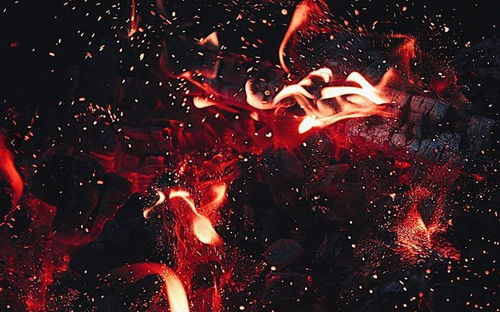 1. 土是根基，火是热情