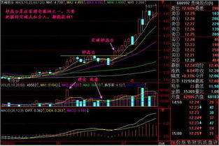 創世纪:股票市场的創新力量 (股票!)