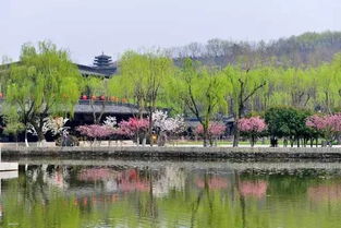 五、 住宿：睡哪儿者阝行，反正睡不着