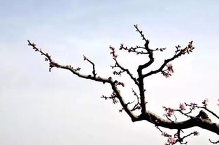 环境保护视角下的政策建议