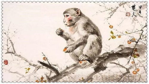 男属猴女属蛇婚姻配吗？蛇遇猴必封侯是什么意思？