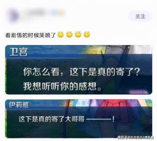 五、  社交润滑剂与风水磁场：奇葩昵称的互动机制