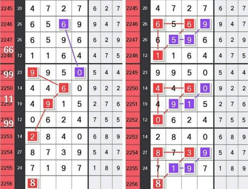 五、 综合评估模型——结合天干地支、五行冲煞与行业属性的决策框架