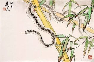 苏民峰2026年属龙完整运程具体内容是什么？