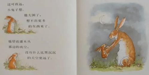 二、 叙事核心：从较小兔到较大兔的转化过程及其后续消失