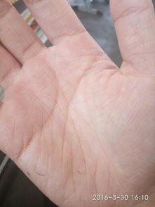 如何通过美女手相图片来判断女生手相是否美丽？