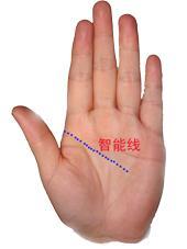 1.1 食指长度相对于无名指之意义