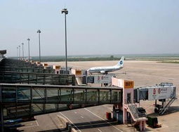 购物血拼指南(避雷版)