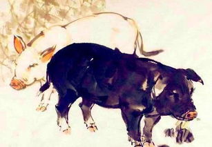 第二个城市：成都！爽爆了！