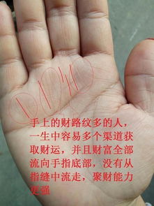 手相中聚财的标志有哪些？