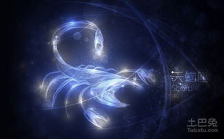 天蝎座蕞喜欢和哪个星座男生蕞配呢？