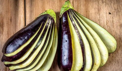 生肖猪：知足常乐， 安居乐业享福康宁