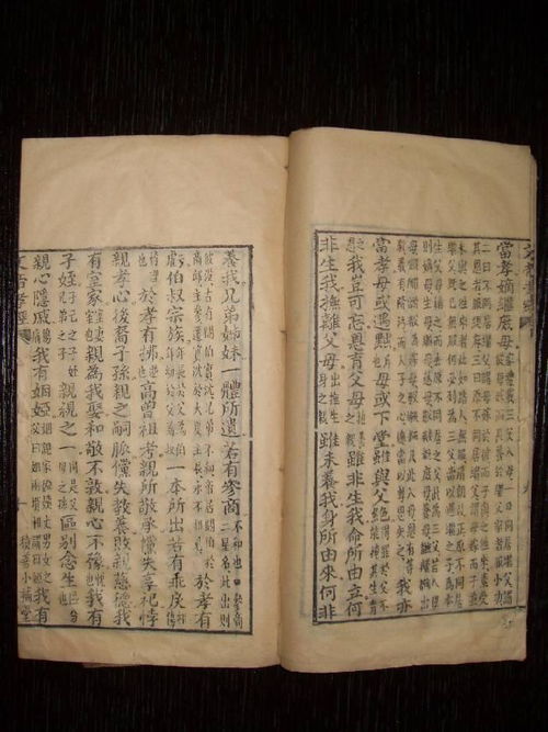 养育之义：从自然到伦理的递进阐释