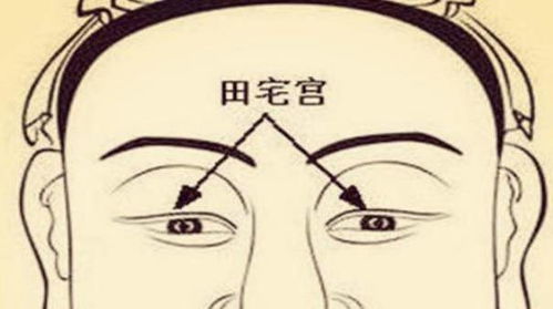 牙齿排列与个人修养