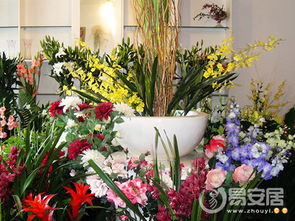 序言：花店命名的跨学科探究视角