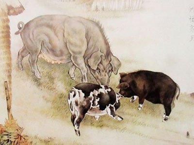 羊和猪性格差异大，适合Zuo夫妻伴侣吗？