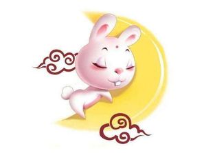 2026年属兔的人穿什么颜色最旺财运？这个颜色有什么特殊含义？