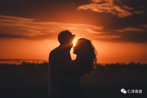 三、 个人经历与情感波折的案例分析