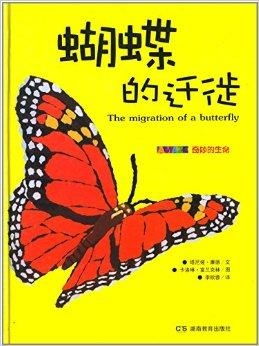 现象描述与初步分析
