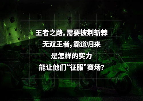 植物在家居风水中的作用