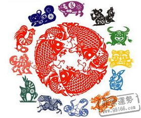 十二生肖今日运势大乱炖