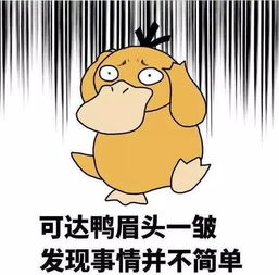 四、 生肖星座分析：情感性格与婚姻观